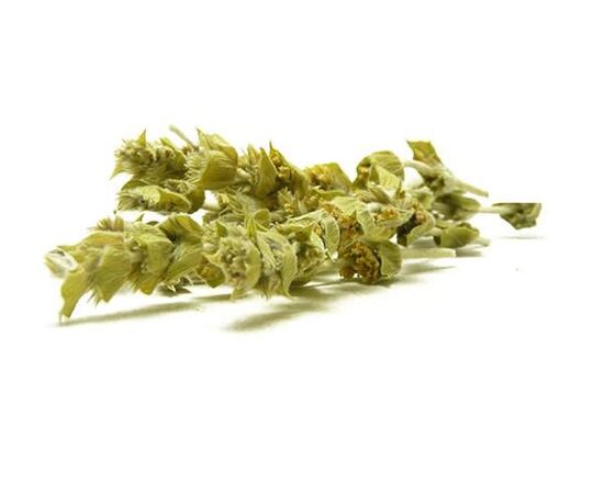 Griechischer Bergtee, Sideritis scardica 100gr